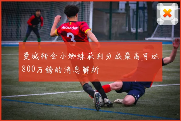 曼城转会小蜘蛛获利分成最高可达800万镑的消息解析